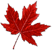 Maple Leaf